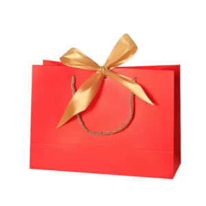 Red plain paper bag with ribbon