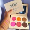 SOB 6in1 pigmented face palette